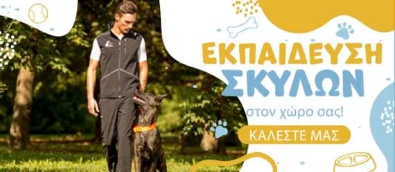 Εκπαίδευση Σκύλων